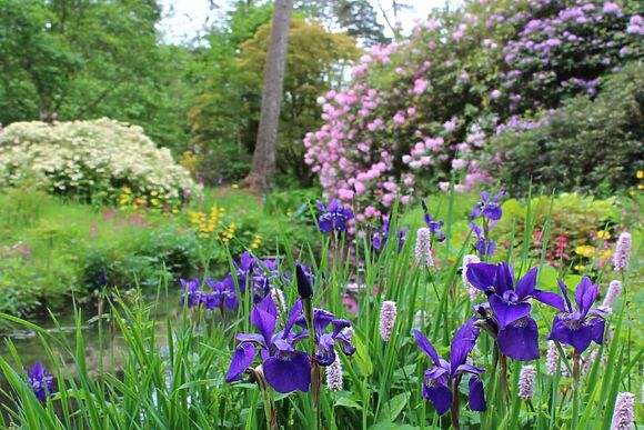 The Bothy At Minterne House