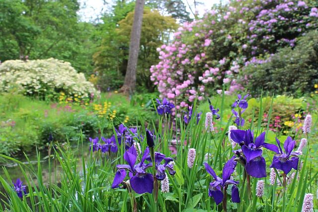 The Bothy At Minterne House