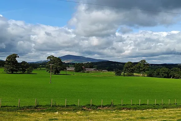 Tinto View Knowehead
