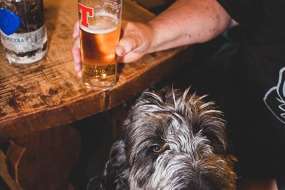 1 bedroom accommodation in Nr Kirriemuir