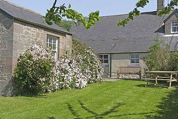 Honeysuckle Cottage