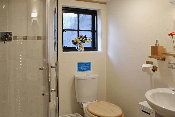 Robins Nest in Stelling Minnis