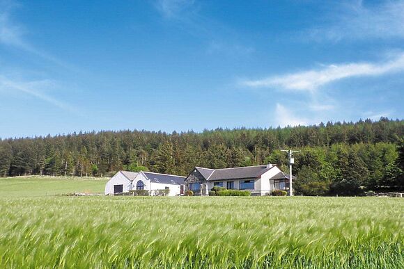 The Brae Steading