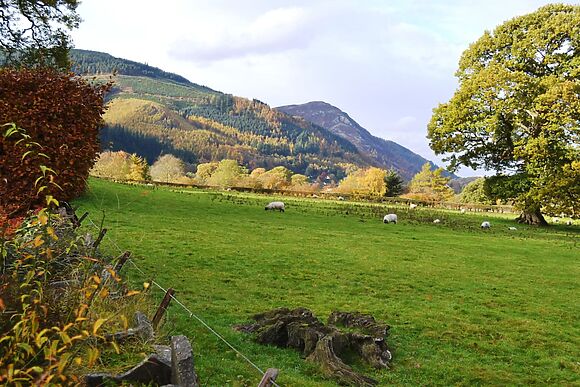 Stables