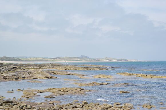 Farne Cottage