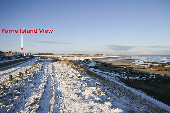 Farne Island View