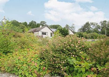 Beech House