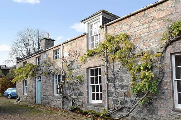 The Mews