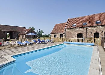Book Online