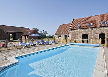 Book Online