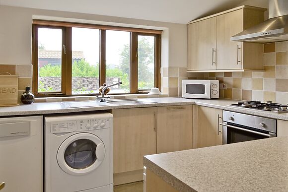 Coriander in Catfield