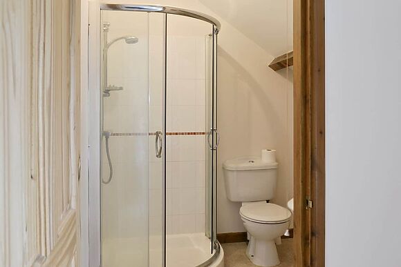 Coriander in Catfield