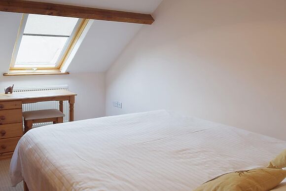 Coriander in Catfield