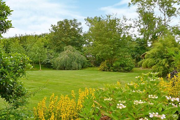 Hidden Garden Cottage in Wainfleet