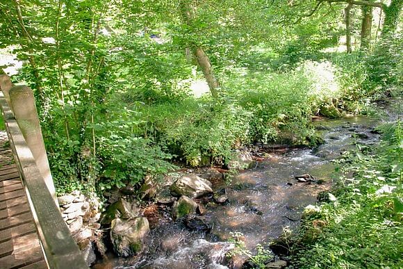Mill Stream At Tuckenhay Mill