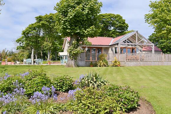 The Pavilion