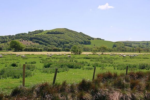 Bwthyn Derwen in Ystrad Meurig