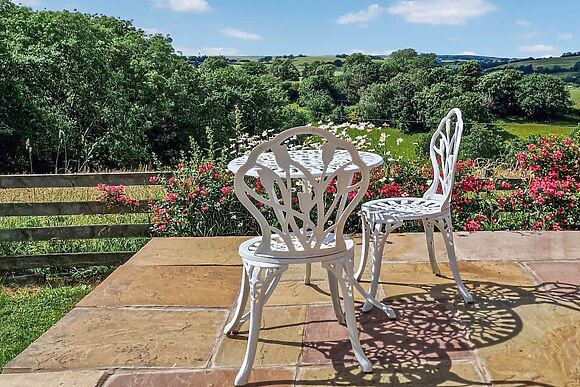 The Cwtch in Newtown