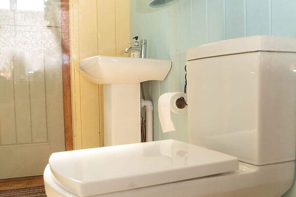 Ruby Rose in Wisbech