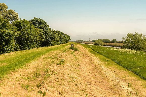 Ruby Rose in Wisbech