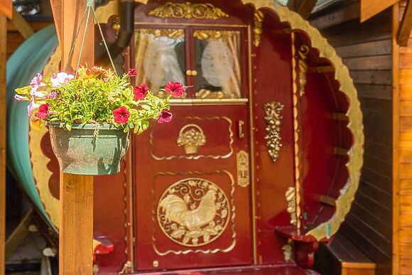 Ruby Rose in Wisbech