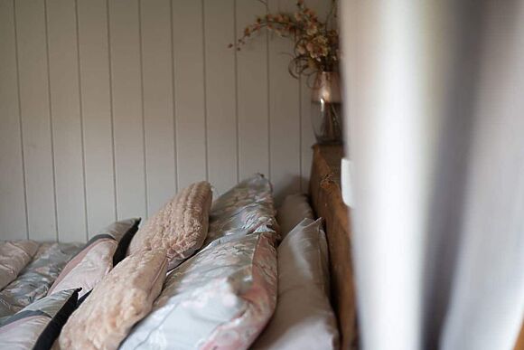 Cefnbrith Carriage in Newtown