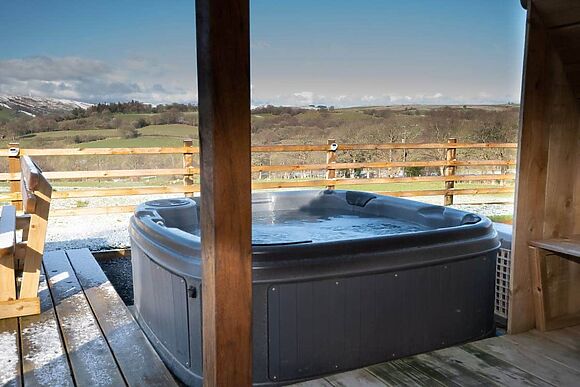 Cerniog Cabin in Newtown