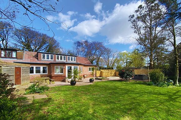 Wagtails in Langford Budville