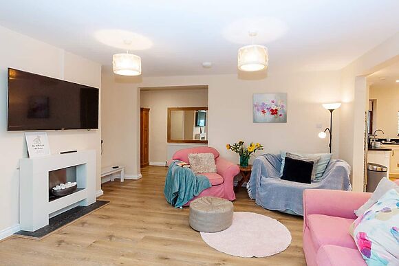 Wagtails in Langford Budville