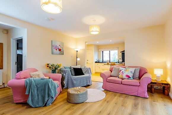 Wagtails in Langford Budville