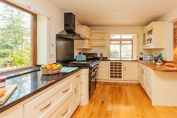 Wagtails in Langford Budville