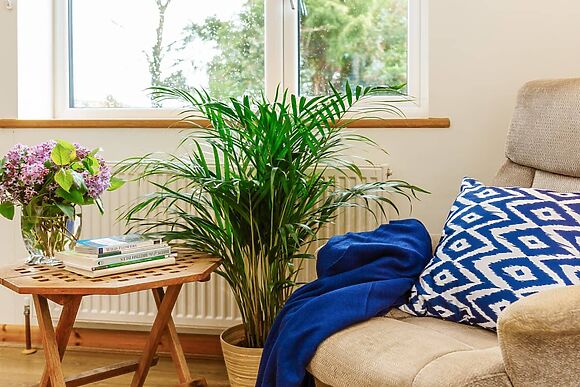 Woodlands in Langford Budville