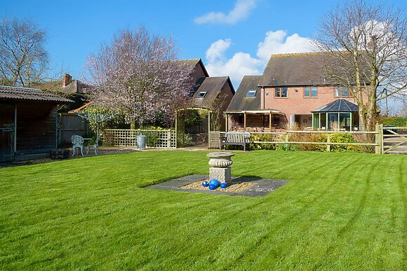 Meadow View