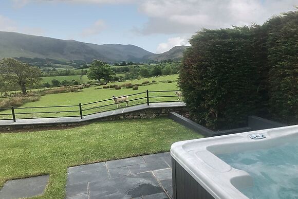 The Hoggest And Annexe