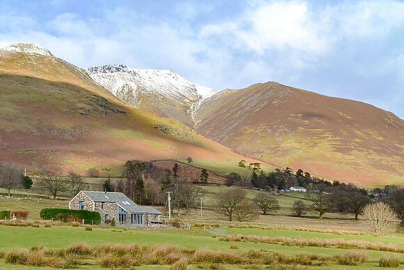 The Hoggest And Annexe