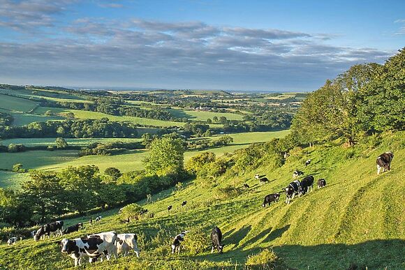 Henning Lodge in Ansty
