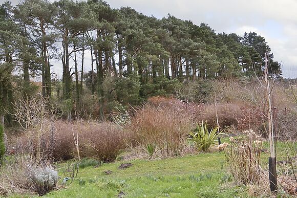 Spindlestone at Wide Sky Cottages