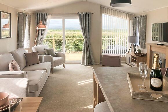 Peacock at Absolute Eden