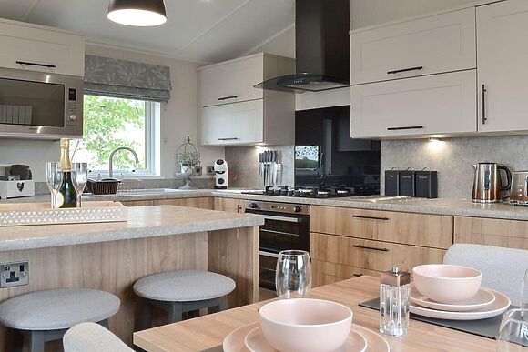 Peacock at Absolute Eden