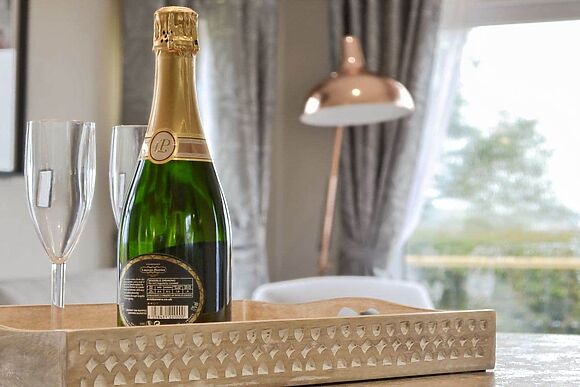 Peacock at Absolute Eden