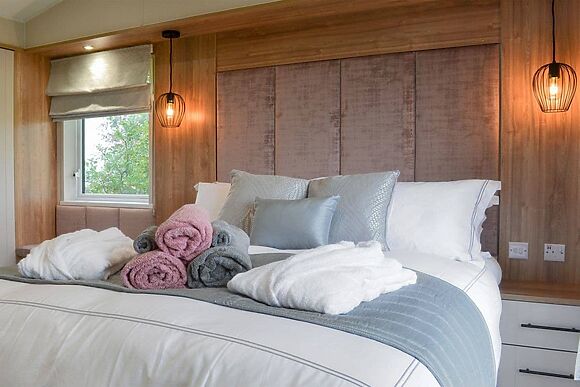 Peacock at Absolute Eden