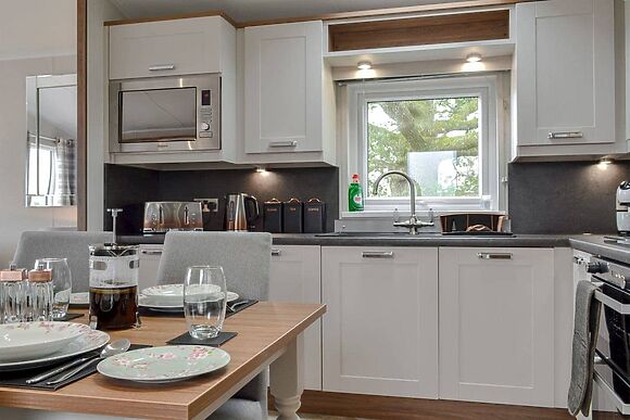 Pheasant at Absolute Eden