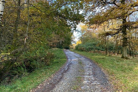 Boyne Arms Cottage in Burwarton