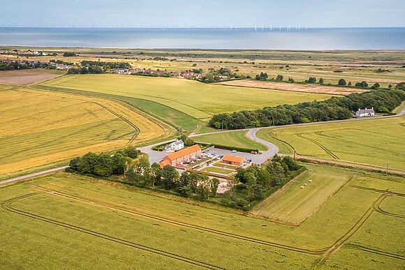 Oyster Catcher in Skegness