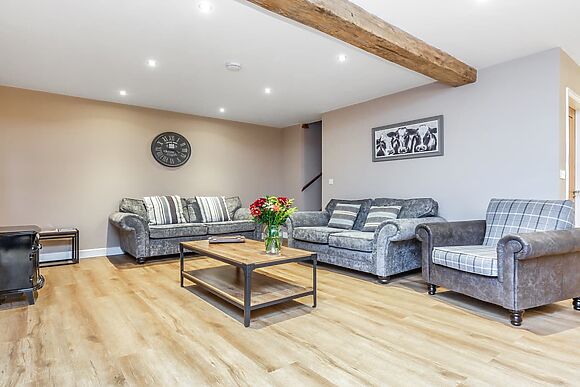 Oyster Catcher in Skegness