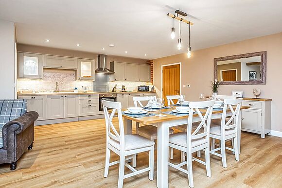 Oyster Catcher in Skegness