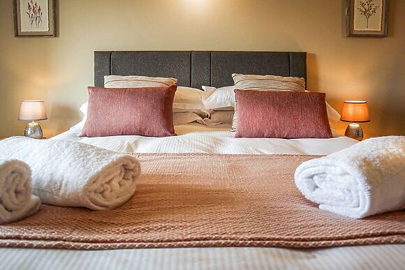 Oyster Catcher in Skegness