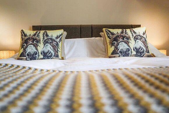 Oyster Catcher in Skegness