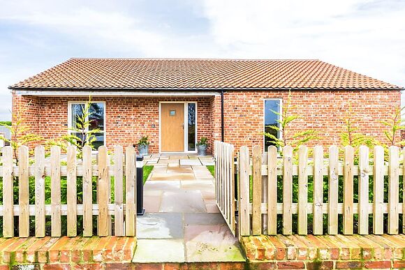 Sandpiper in Skegness