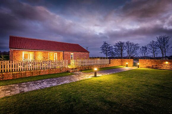 Sandpiper in Skegness